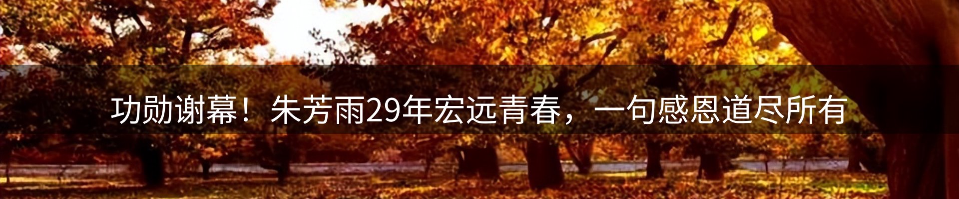 内页banner